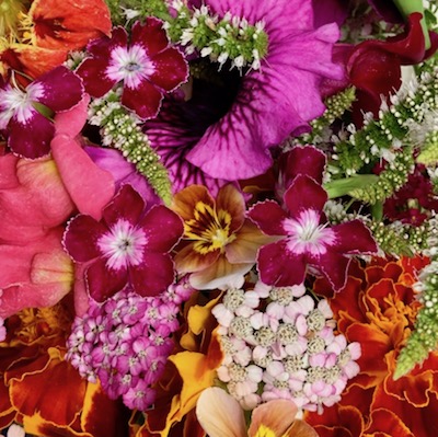 a colorful assortment of fresh-picked edible flowers